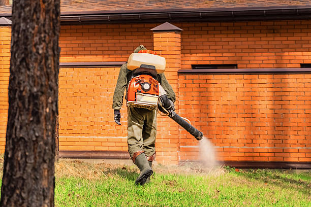 Bed Bug Clearance Verification and Documentation in Stanwood
